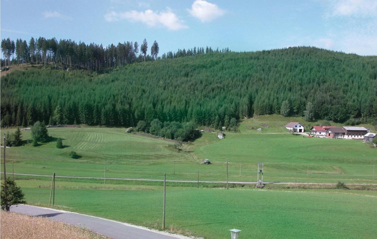 Ferienwohnung - Waldviertel Barnkopf ภายนอก รูปภาพ